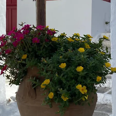 Della Nonna Maison d'hôtes 3*