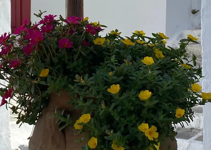 Della Nonna Pensionat 3*